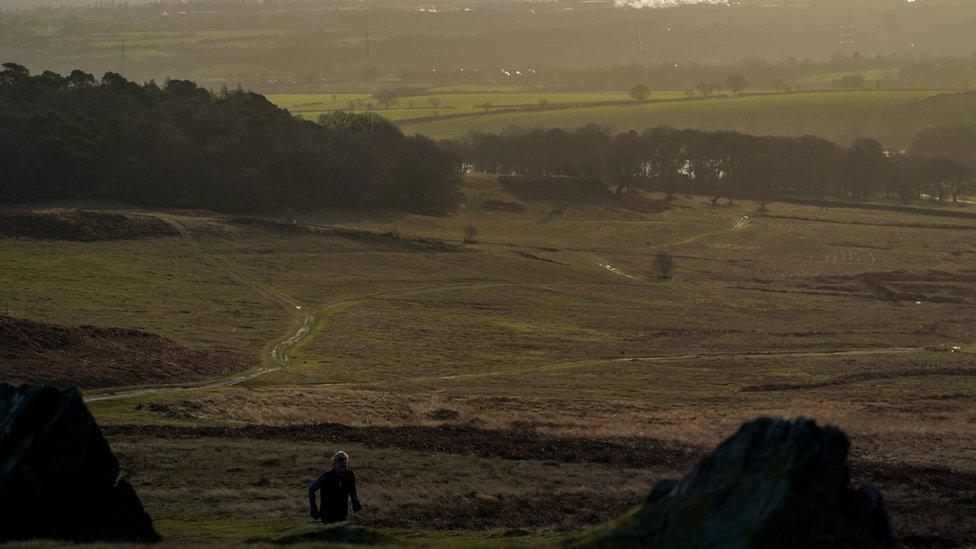 Bradgate Park