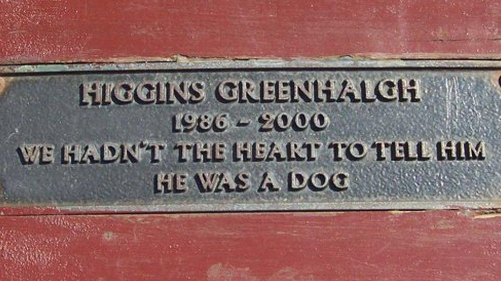 Bench dedication: "Higgins Greenhalgh, 1986 - 2000, We hadn't the heart to tell him he was a dog"