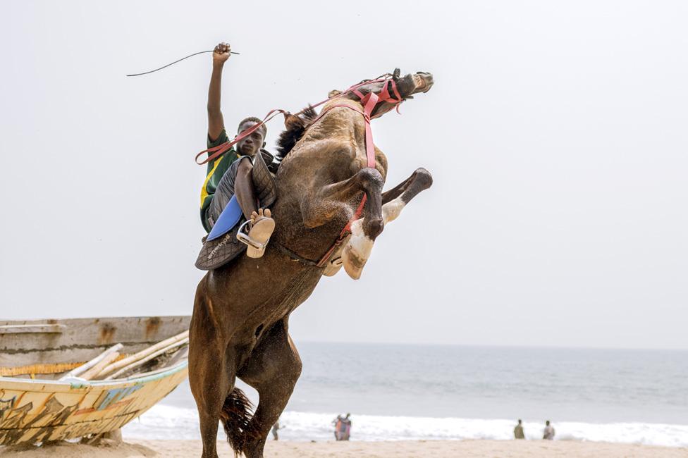 Horse rearing on the beach