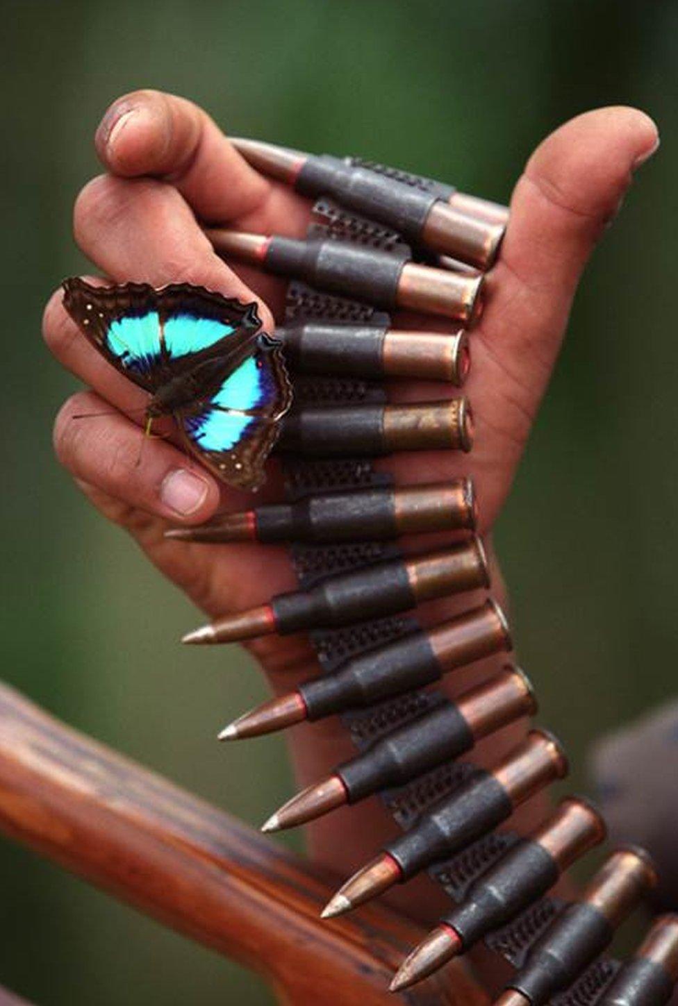 Butterfly on ammunition of paramilitary fighter