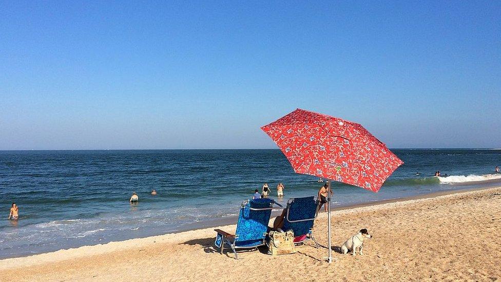 Beach umbrella