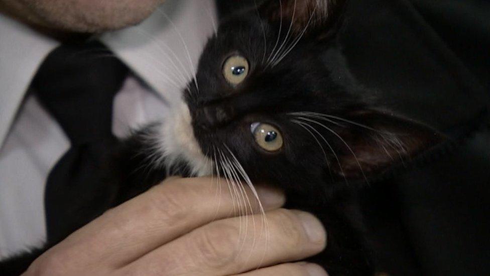 Dusty after her adventure