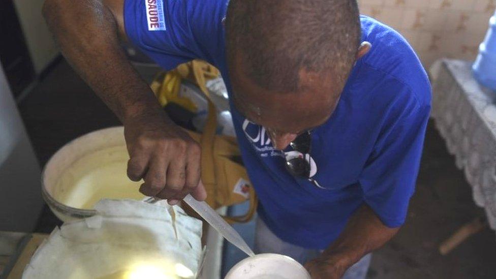 A public health worker during an operation against the Aedes aegypti mosquito that transmits the Zika virus (15 February 2016)