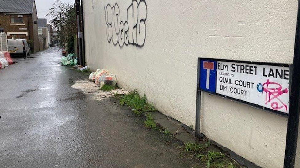 Elm Street Lane, in Roath