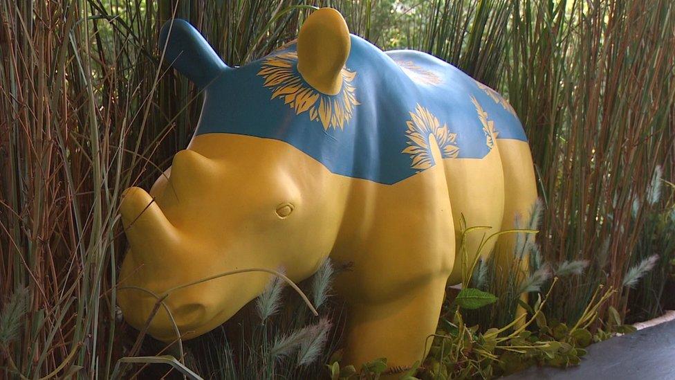 Rhino in Ukraine colours