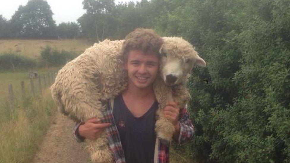 Lewis with one of his earliest sheep