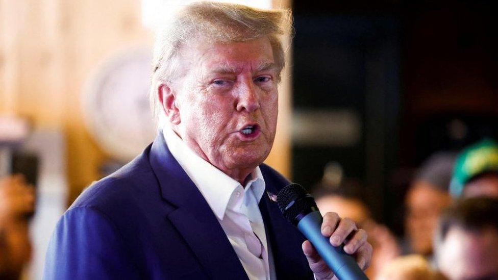 Donald Trump speaks as he campaigns at the Iowa State Fair in Des Moines, Iowa, on 12 August 2023