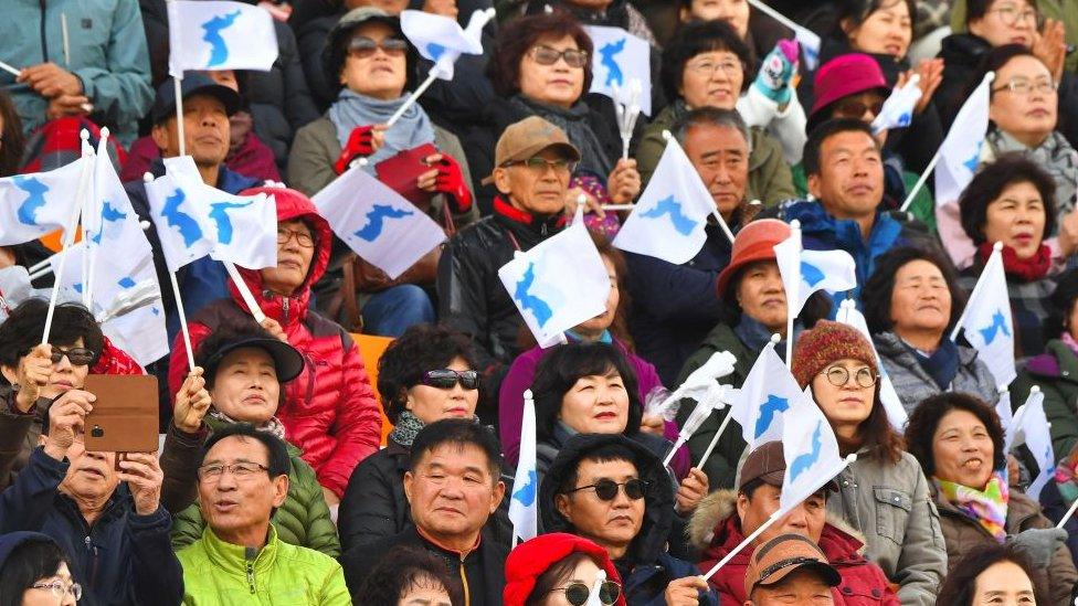 South Korean supporters wave 'Unification flags' during a football match