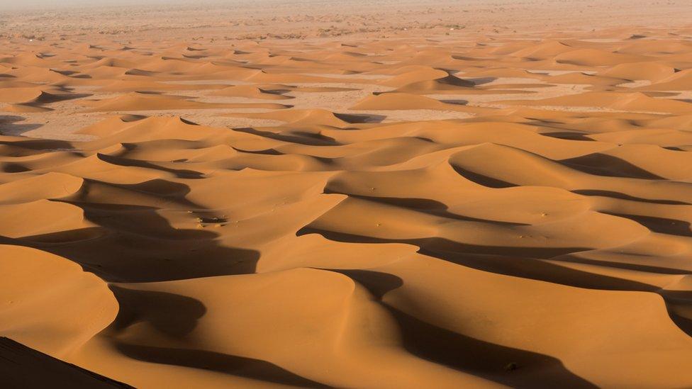 Libya desert