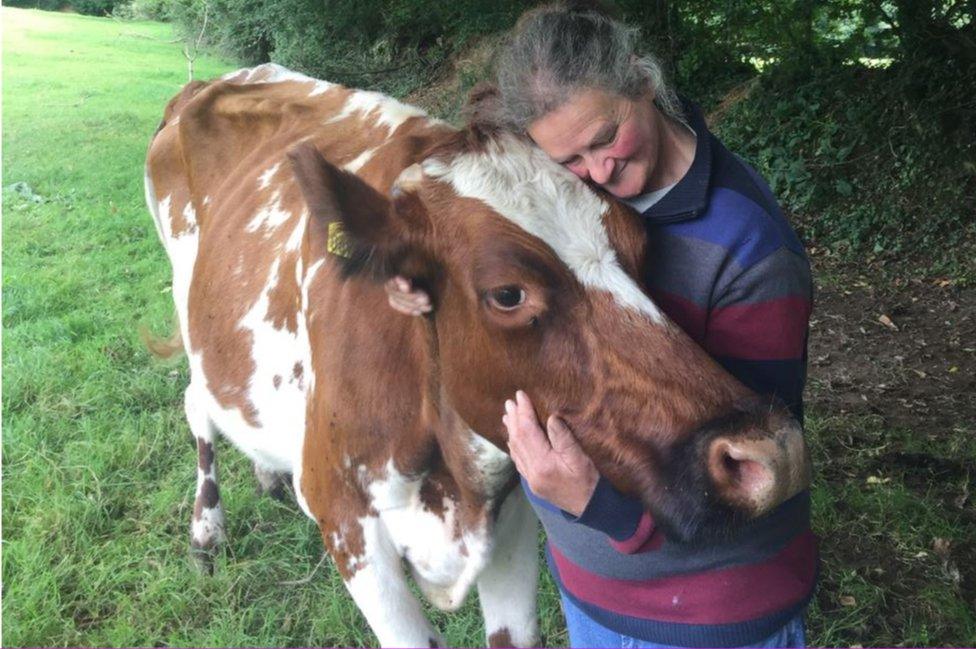 Jill Smith with a cow