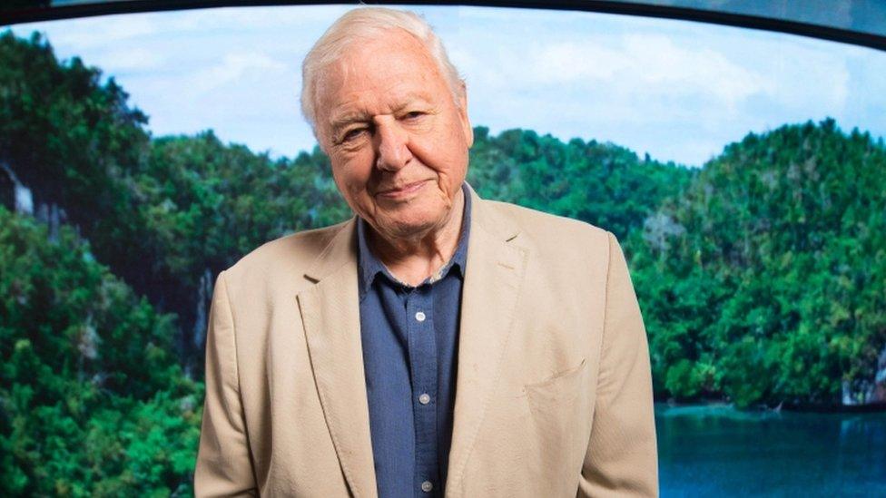 david-attenborough.