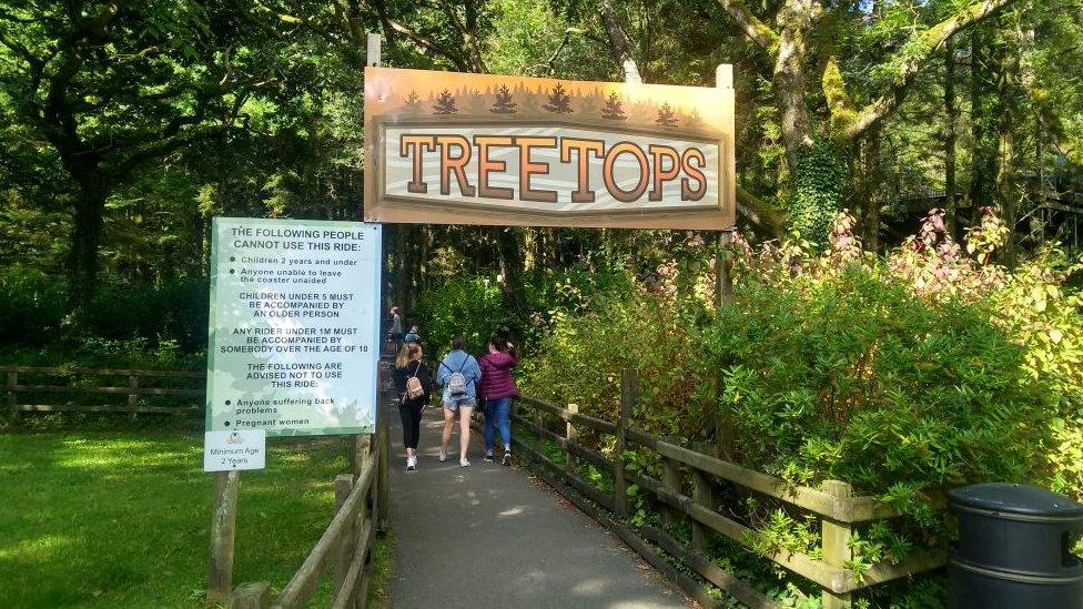 treetops