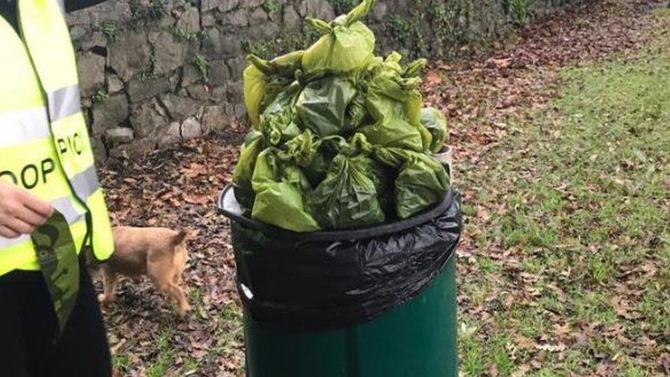 Full dog bin