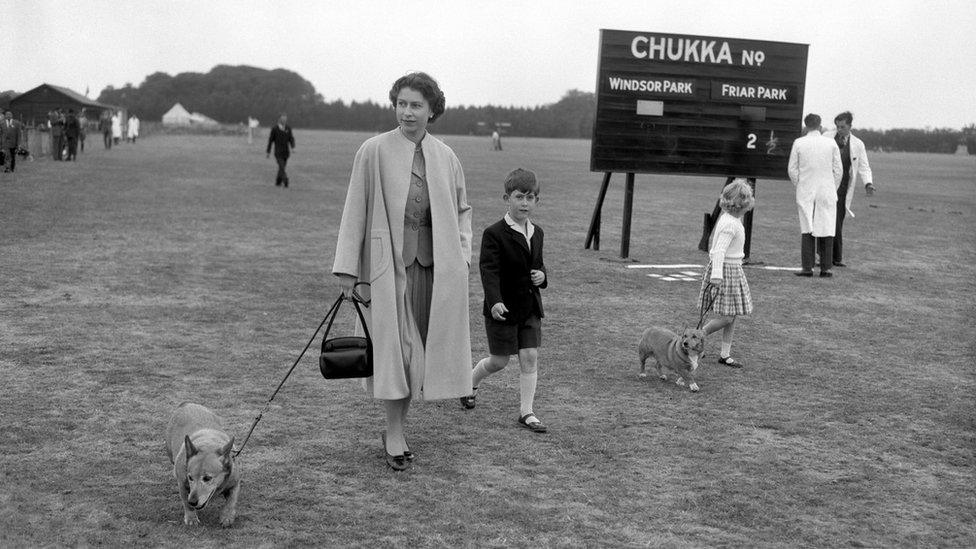 Black and white photo of the Queen walking in Windsor Great Park with her children - Prince Charles and Princess Anne - and two of her corgis