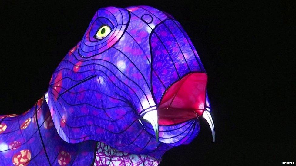 Big animal lit up as part of French fair