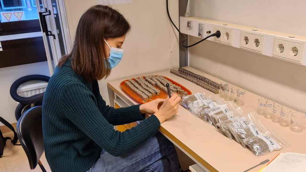 Anya Hawkins studies magnetic signatures