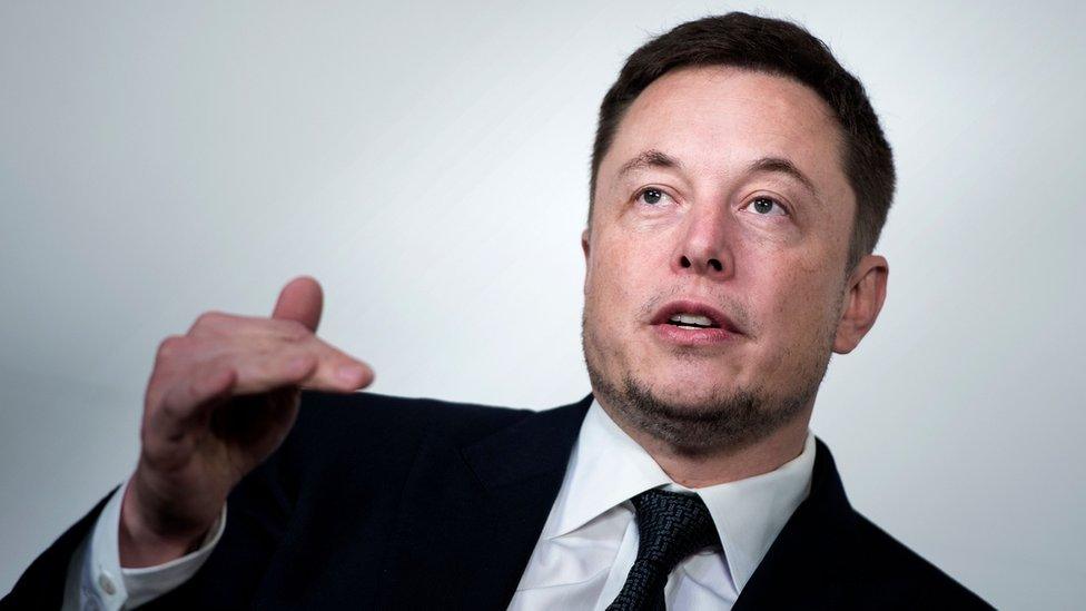 Tesla chief executive Elon Musk