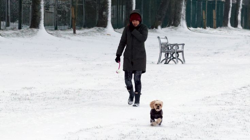 A woman taking her dog for a snowy walk in Blackwood, Caerphilly