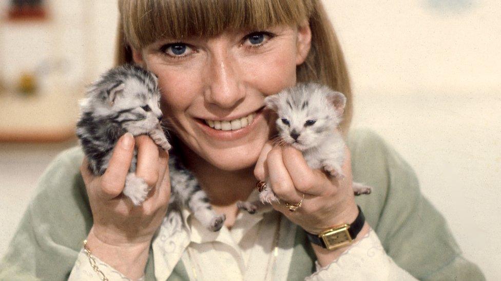 Lesley Judd, Jack and Jill