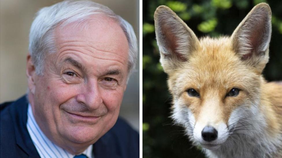 Paul Gambaccini and fox