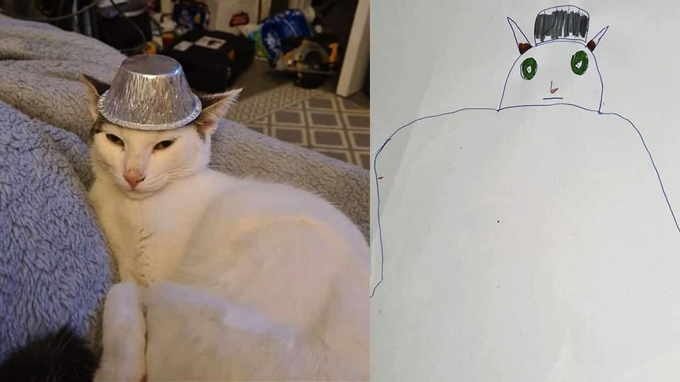 A cat next to a badly drawn one