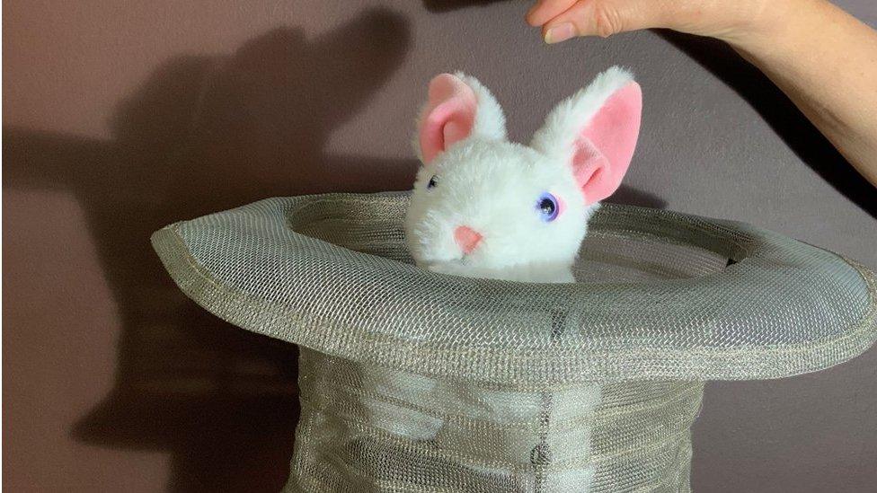 Rabbit in a Hat - hat