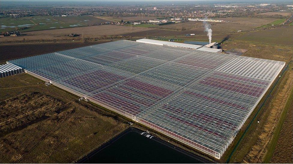 Aerial view of the greenhouse