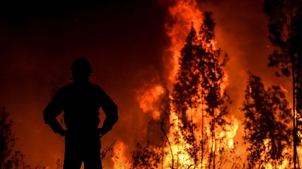 A firefighter monitors the progression of a wildfire at Amendoa in Macao, central Portugal on 21 July 2019