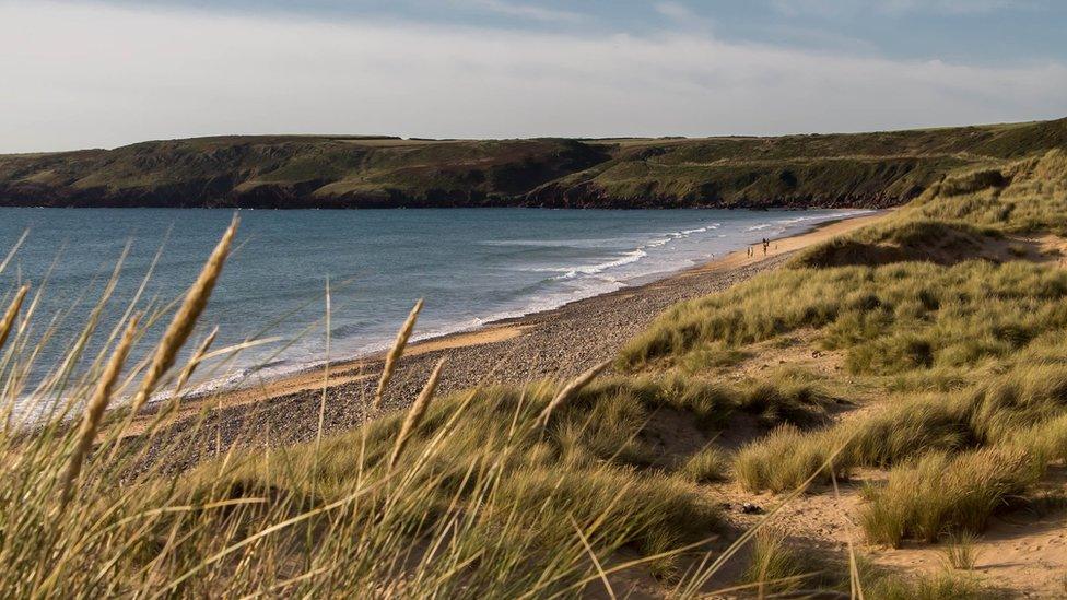 Freshwater West in Pembrokeshire, taken by Beatrice Roat