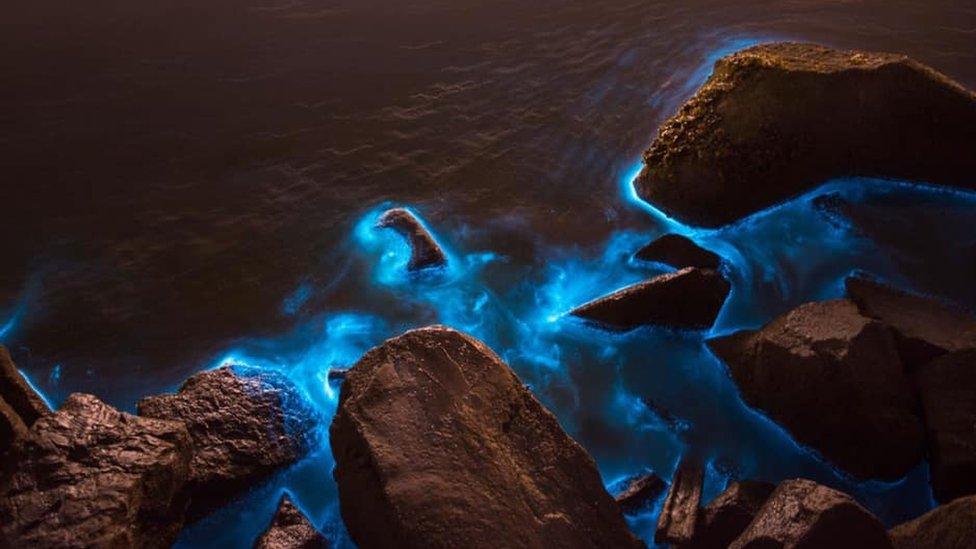 Bioluminescent plankton off Aberavon