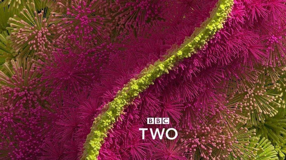 BBC Two new ident