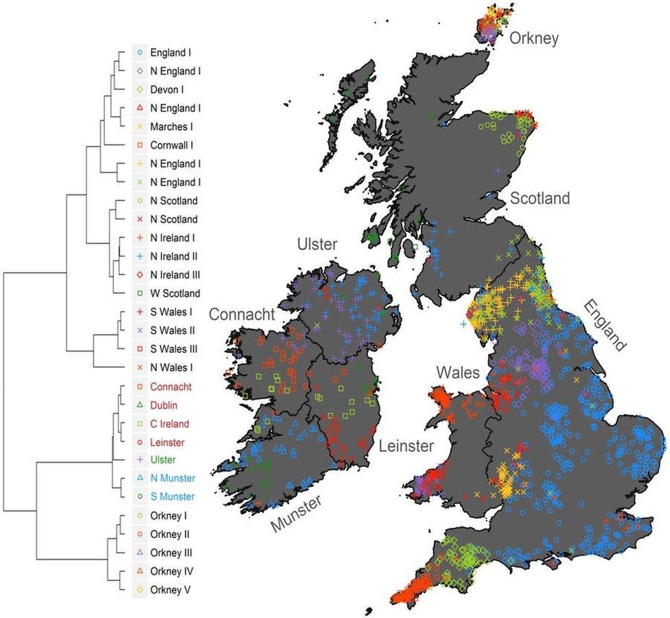 DNA map