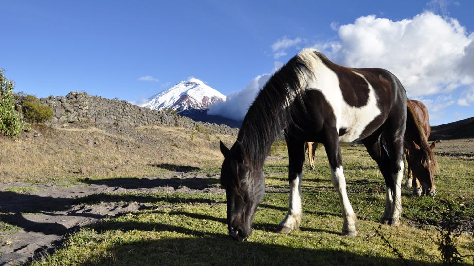 View of the Cotopaxi