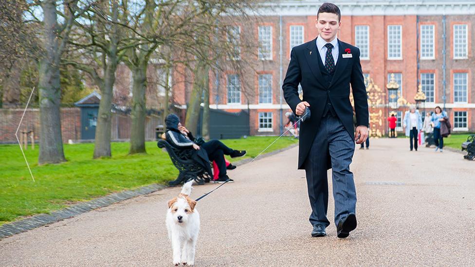 Hotel staff interacting with service dog