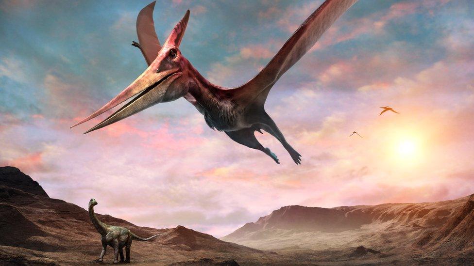 Illustration of pterosaur flying over landscape