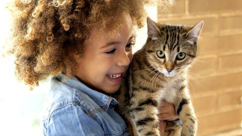 child hugging cat