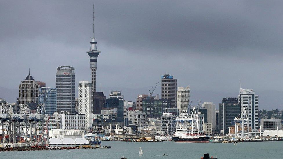 New Zealand skyline