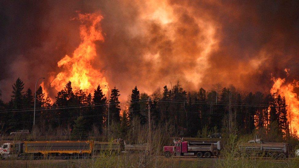 Wildfire raging in Alberta, Canada