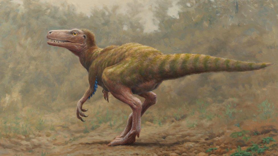 An artist's impression of a Sarcosaurus dinosaur, painted by Julian Frier