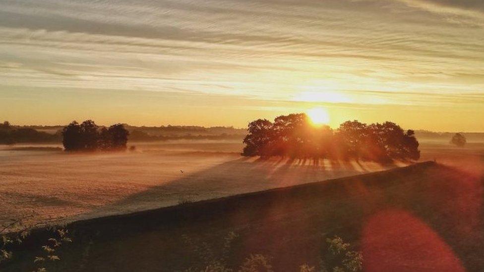 Sunrise over fields