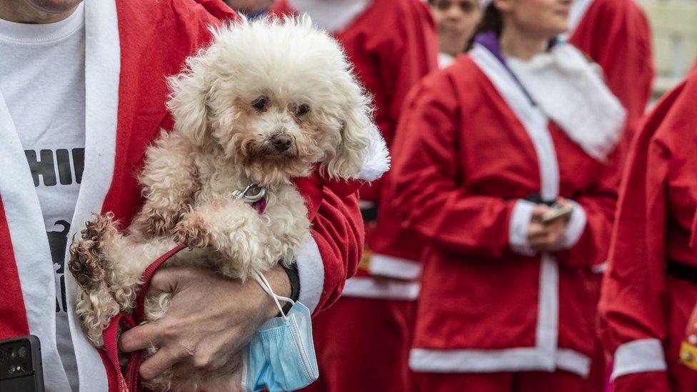 man clutches dog