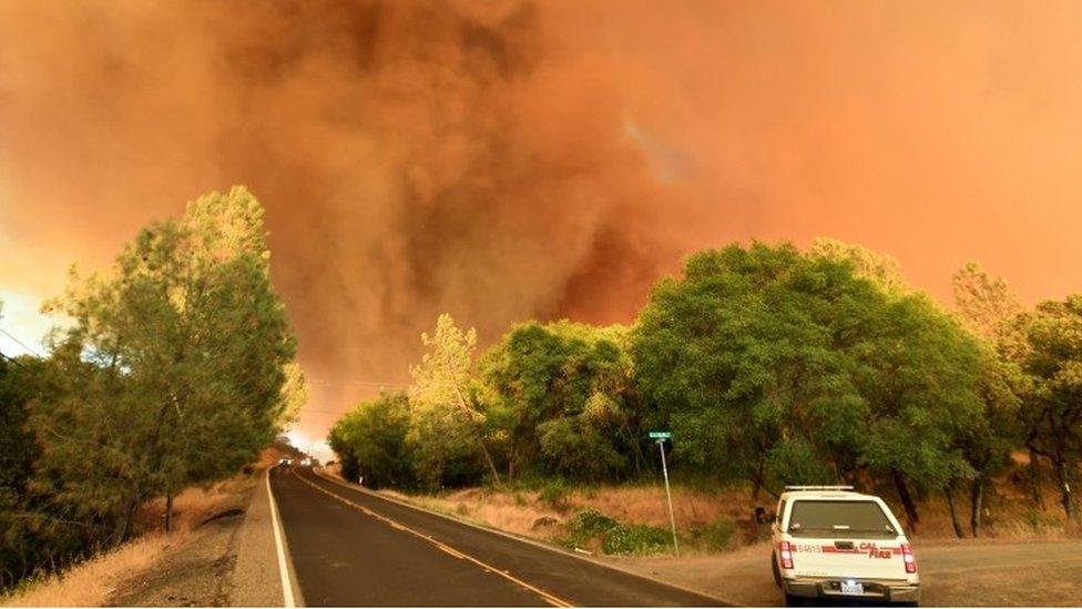 A plume of smoke rises as impending flames from the "Wall fire" approach Forbestown Road near Oroville, California (08 July 2017)