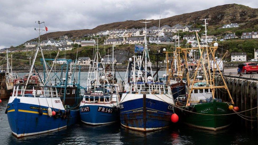 Fishing boats at Mallaig