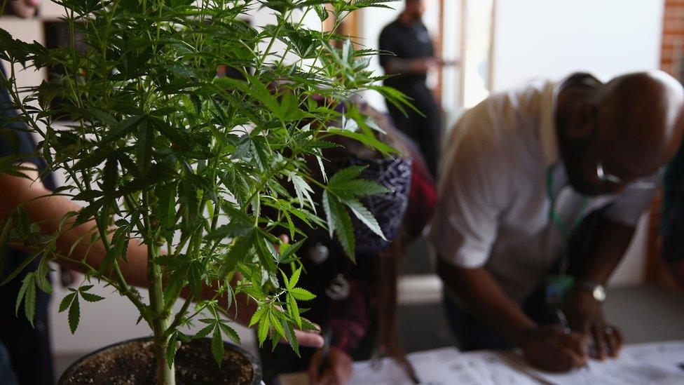 A man fills out a job application at Colorado's first cannabis job fair