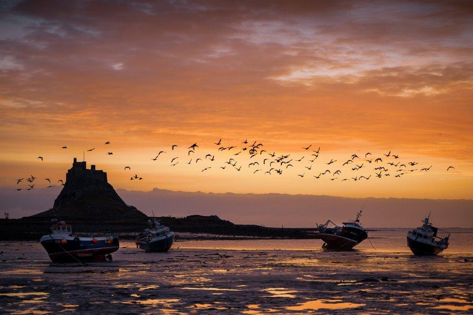 Birds flying against colourful clouds above mud flats and castle