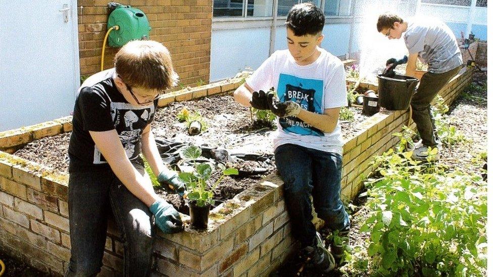 pupils gardening
