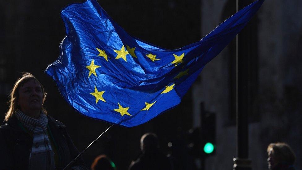 A pro-EU anti-Brexit protester waves an EU flag outside the Houses of Parliament in central London, 15 January 2020