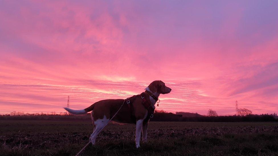 Sunrise in Cropwell Bisop, Nottinghamshire