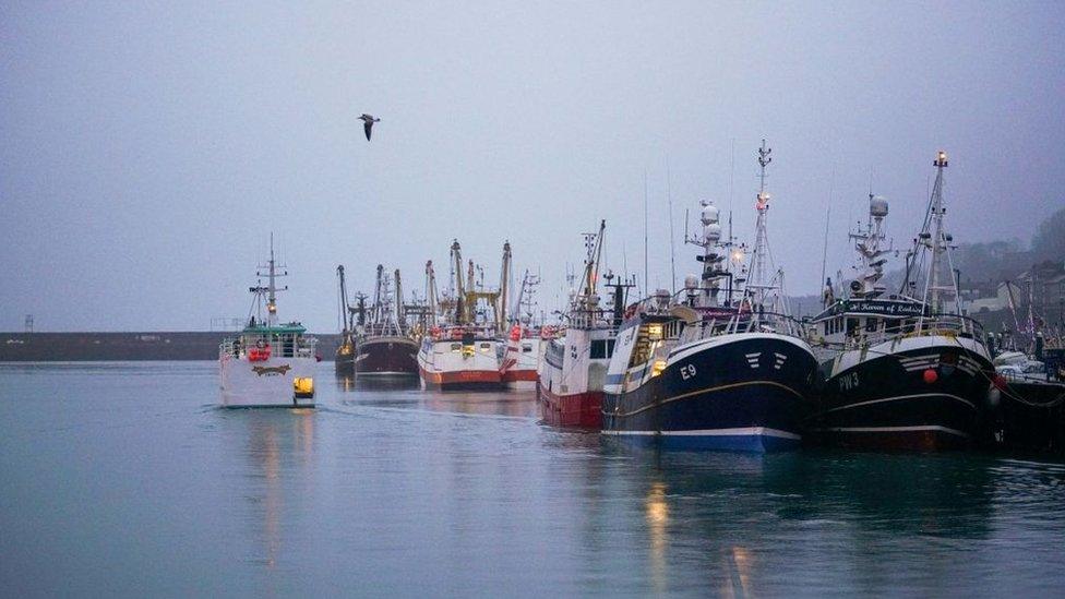 Fishing -boats-in-harbour.