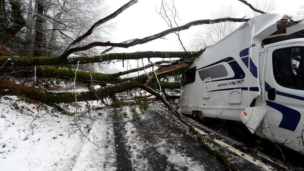 Falling tree hits campervan on A40 in Wales